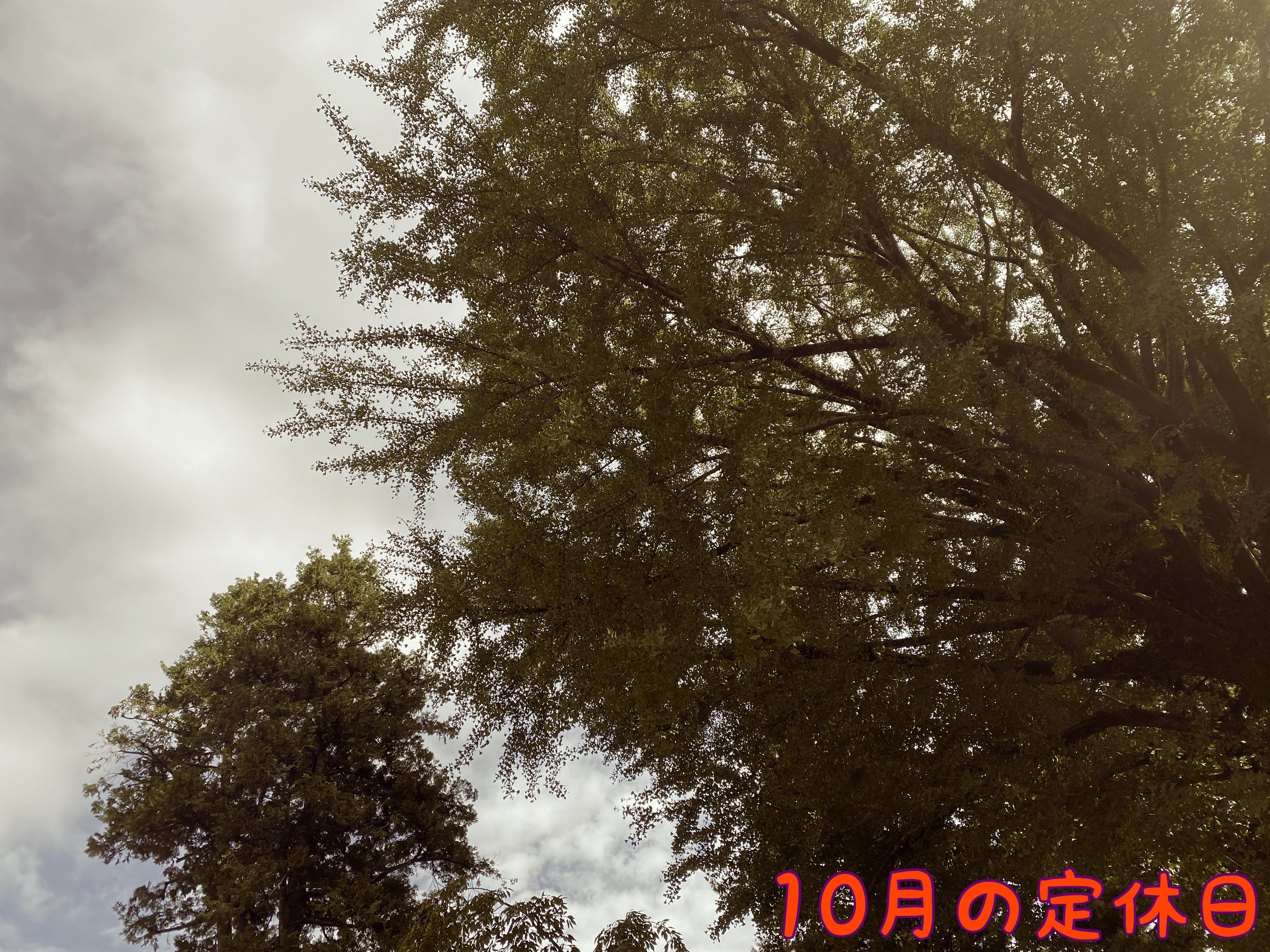 10月の定休日