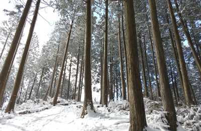 DSC_0017_400.jpg