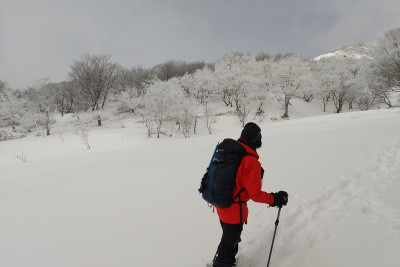 DSC_0009_400.jpg
