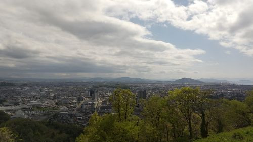 DSC_0008_500.jpg