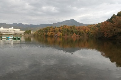 DSC_0070_400.jpg