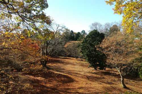 DSC_0083_500.jpg