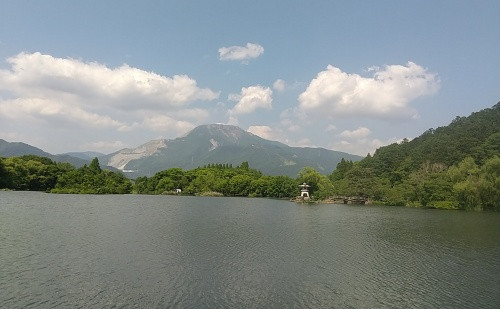 DSC_0027_500.jpg
