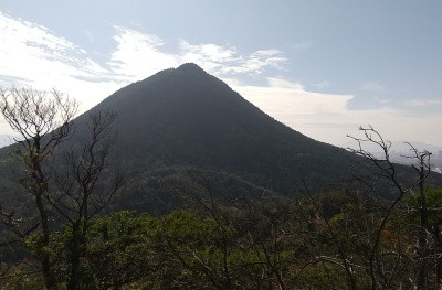 DSC_0002_400.jpg