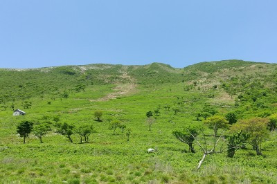 DSC_0026_400.jpg
