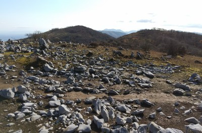 DSC_0048_400.jpg