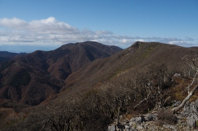 PB110021_400.jpg