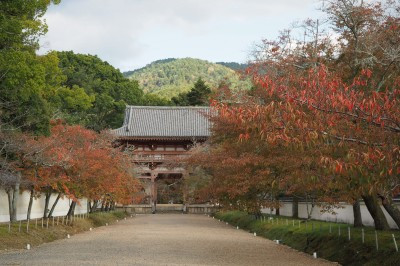PB040002_400.jpg