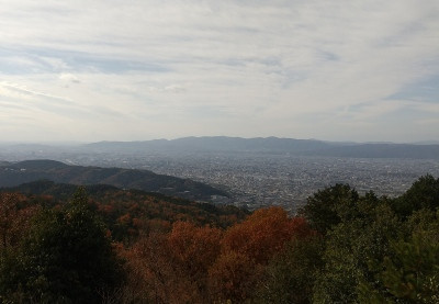DSC_0128.JPG