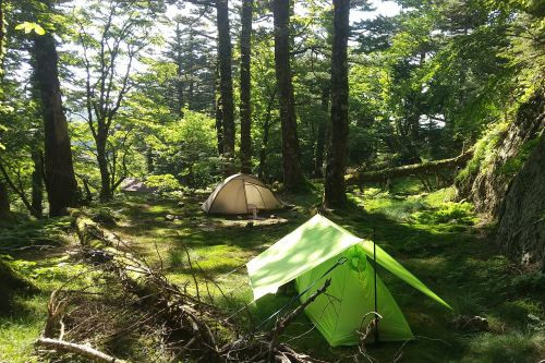 DSC_0015.JPG