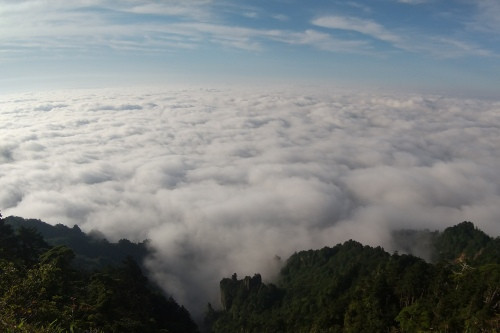 DSC_0042.JPG