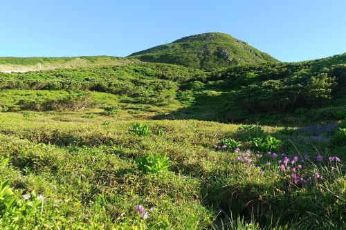 DSC_0057.JPG