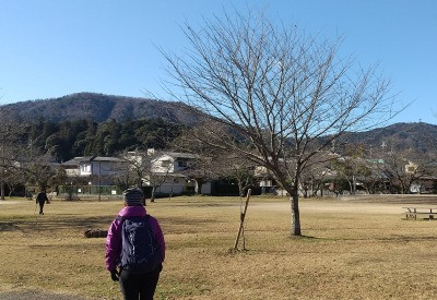 DSC_0164.JPG