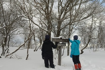 DSC_0026.JPG