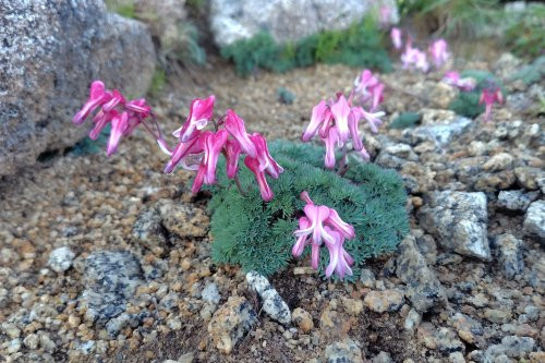 260723050639417.JPG