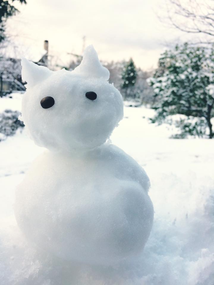 ふゆねこブレンド