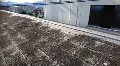 屋根施工前（北村）.jpg