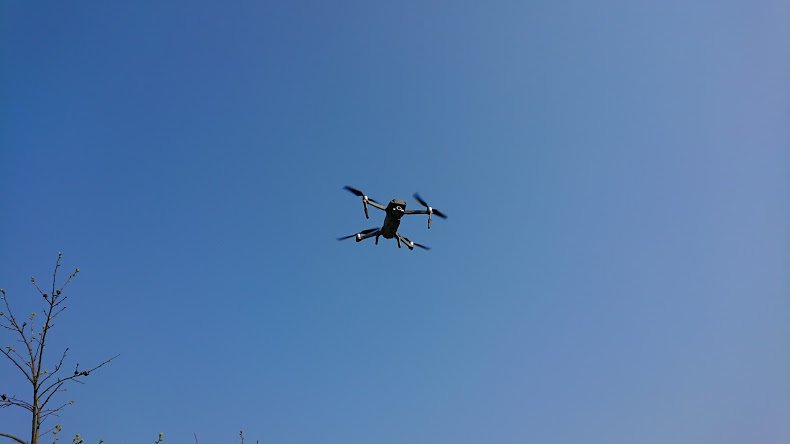 DSC_0133.jpg