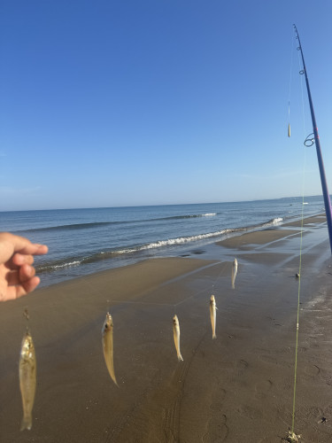 千里浜でキス釣り🎣