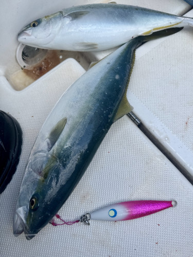 能登内浦ジギング釣行🎣