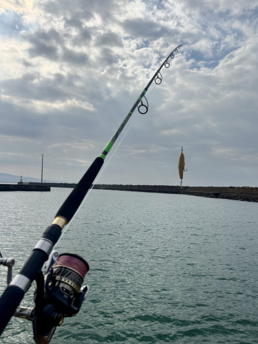 晴れ間にスイムテスト⛅️