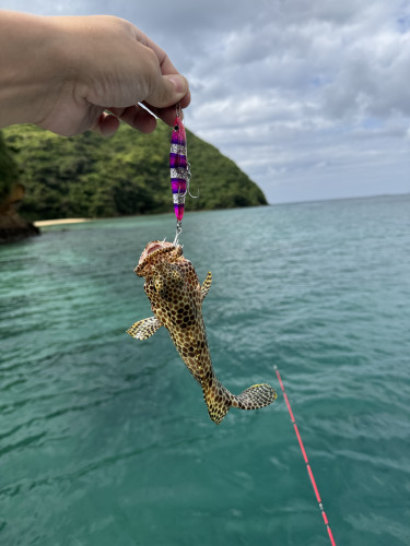西表島ライトゲーム🚤