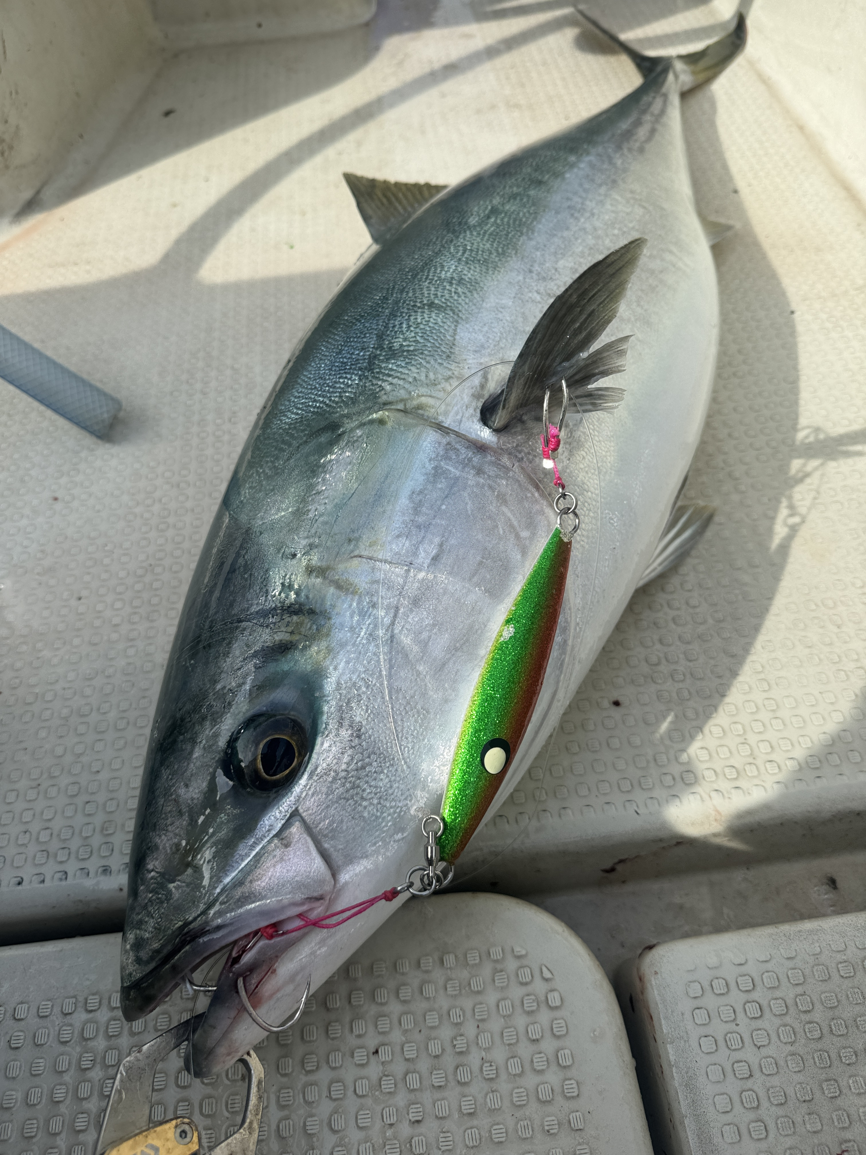 玄達瀬釣行🛥️