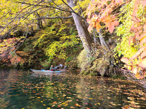 紅葉の十和田湖カヤックツアー