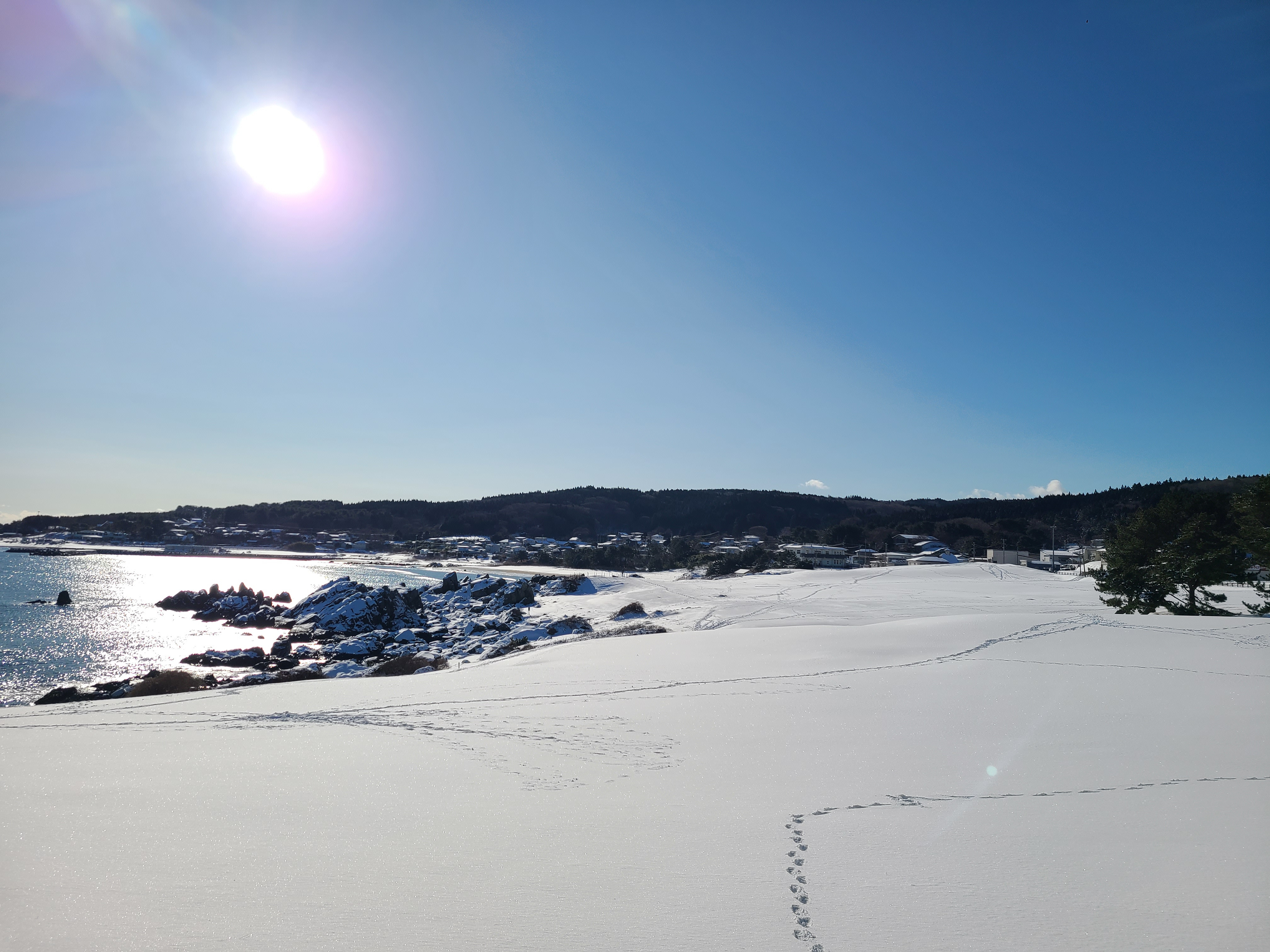 もうすぐ春がやってくる