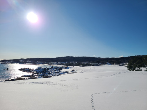 もうすぐ春がやってくる