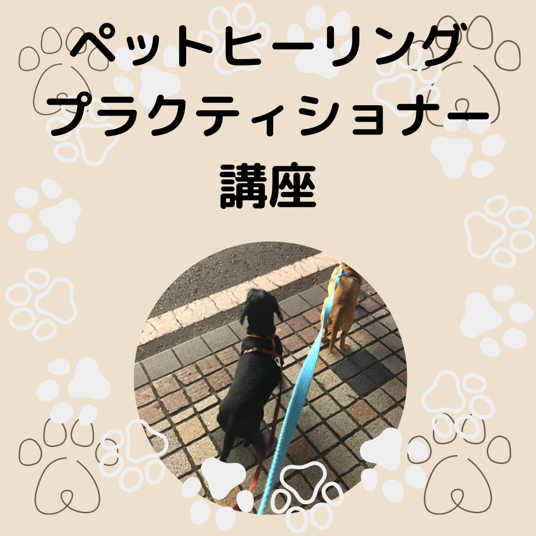 7/30(土) ペットヒーリングプラクティショナー講座