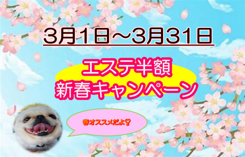 エステ半額キャンペーン.png