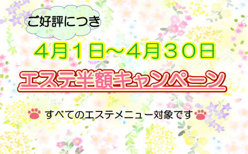4月エステ半額キャンペーン.png