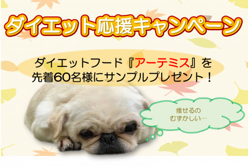 9月さきっぺ.png