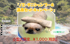 10月温泉キャンペーン.png
