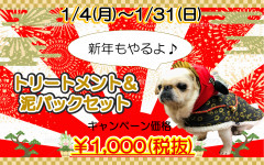 仮正月冬エステ.png