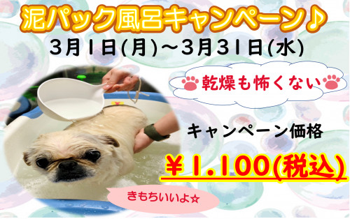R３　3月泥パック風呂税込.png