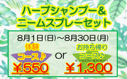 8月エステ　コース.png