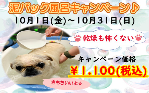 R３　10月泥パック風呂税込.png
