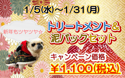 2022年　新年エステ.png