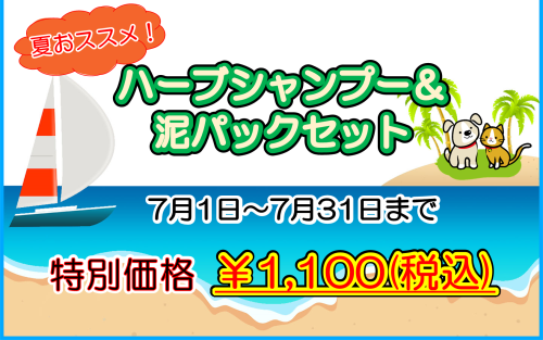 R4年　7月　夏エステ.png