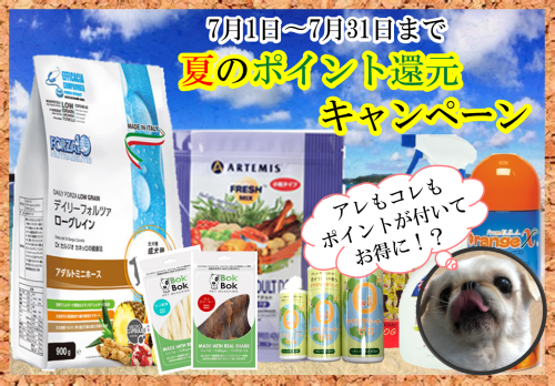 夏のポイント還元キャンペーン 2.png