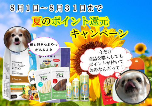 夏のポイント還元キャンペーン 　8月延長.png