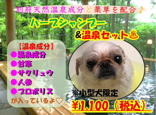 R4年　9月エステ.png