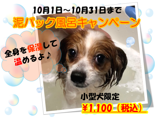 泥パック風呂.png