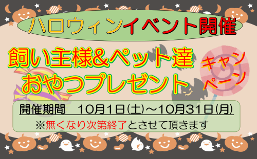 R4年　10月ハロウィンプレゼント.png