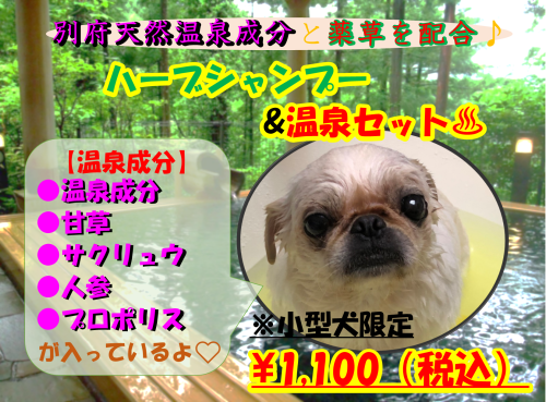 9月　ハーブ&温泉.png