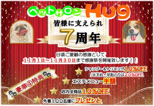 11月　7周年.png