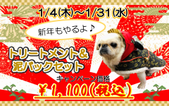 2024年　新年エステ　三本木.png