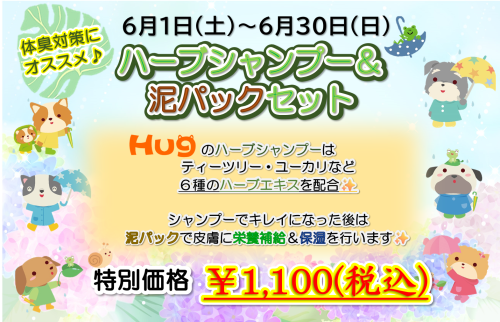 2024年　6月　エステ.png